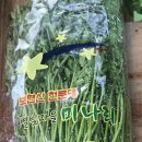 보현산농장 이미지