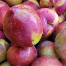 억만농장 이미지