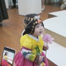 돌끝해물 이미지