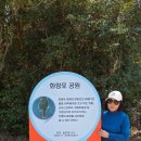 화랑포식당