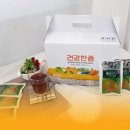 진솔이네포도