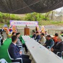 일영 이미지