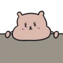 냠냠족발 이미지