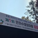 홍천은하수별빛마을 이미지