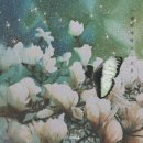 취미세탁소 이미지