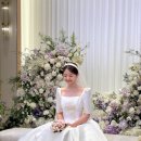 비르헤어 이미지
