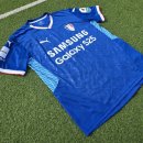 950069 | [푸마] 수원 삼성 블루윙즈 2025 시즌 유니폼, 30주년 기념 유니폼, 사이즈, 가격, 실착 후기