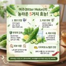 ◎ 여주(Bitter Melon)의 놀라운 5가지 효능 이미지