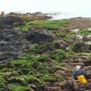 소박한바당쉼터 이미지