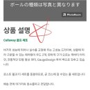 바이골프 이미지