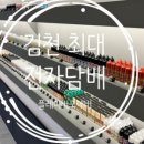 플레이버포에버