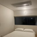 과수원집 소원재 | 제주도 남쪽 서귀포 숙소 과수원집 소원재 뒷집 후기