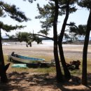 곰섬해수욕장 | 태안 곰섬 해수욕장 캠핑 후기｜오션뷰 명당 데크 체험기