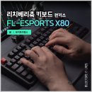 펀키스 FL-ESPORTS X80 리치베리축 블랙 레드 리뷰 실사용 후기