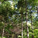 이바구캠프 이미지