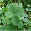 JJ호프(제이제이호프) 이미지