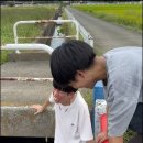 덤앤더머