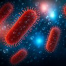 들개 | 동남아 여행 중 들개에게 물릴 뻔한 실제 후기