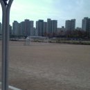 억새2축구장 이미지