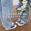 알리몰리 스튜디오(유) | 제주 웨딩 스냅 촬영 후기 | 소품 준비물 꿀팁 공유 PPT 시안 (ft.당근, 알리)