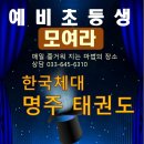 한국체대명주태권도