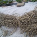 자담농장 이미지