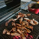 코이스테이 이미지