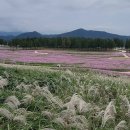 은행나무숲 주차장 부근 이미지