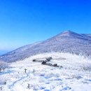 곰배령이야 이미지