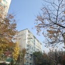 죽전로264번길 이미지