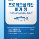메가웰스