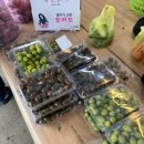 양희농장 이미지