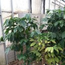 희정농장 이미지