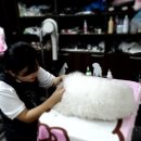 도그앤 제이 이미지