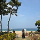 카페정원 | 강원도 고성 바다정원 카페 후기, 바다 보며 빵과 커피 즐긴 대형 오션뷰 명소