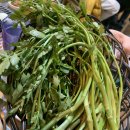 [대구 동구] 봉고뒷고기 후기!