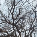 용암리 경로당 이미지