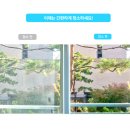 혁신3로 | 슬림 유리창 로봇 청소기, 창문 청소의 혁신템 3개월 사용 후기