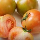 스포짐휘트니스 이미지