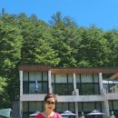 평창베니스 이미지