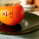 도미솔유통