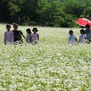 산막마을회관 이미지