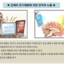 맨땅 이미지