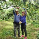 김종운농장 이미지