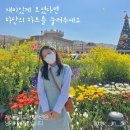 신혼집 인테리어 04ㅣ 원진인테리어 도배마루 시공후기 (페인트 질감 실크벽지/그랑데 이모션 블랑)