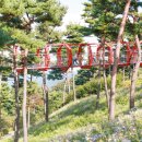 산청 동의보감촌 이미지