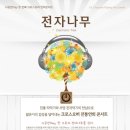 전자나무