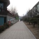 도봉-도봉-2041 네이버블로그