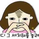 호호포차 이미지