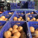 25농산물할인매장